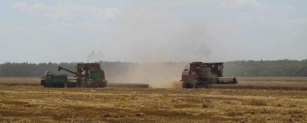 
            Фотография Дальнего