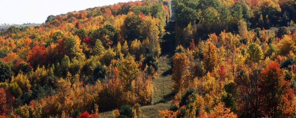 
            Фотография Вэйланда