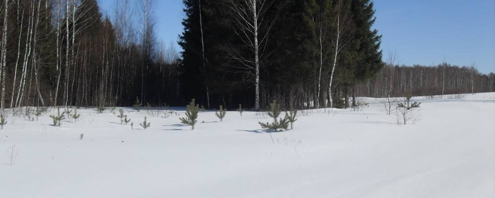 
            Фотография Яковлево