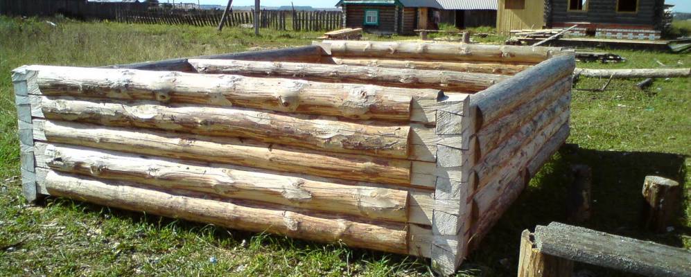 Фотография Кораксолы