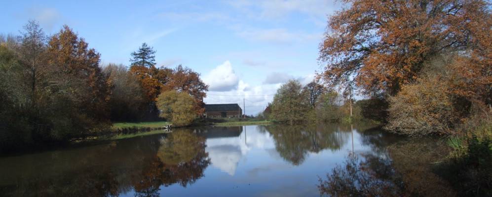 
            Фотография Нузерина