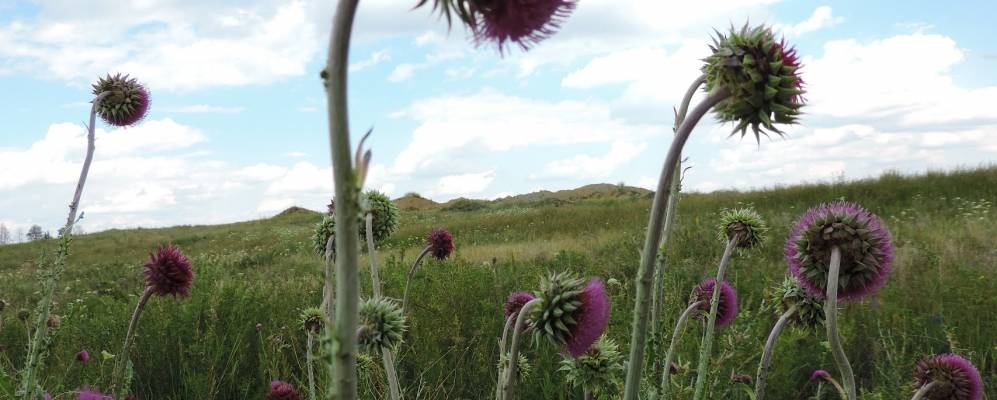 
            Фотография Новониколаевки