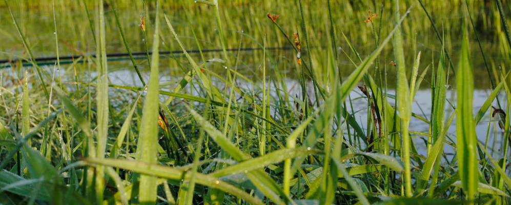 
            Фотография Петровки