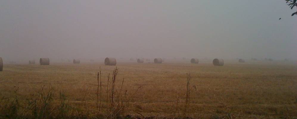 
            Фотография Бакланово