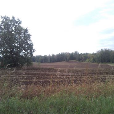 Новоконстантиновка