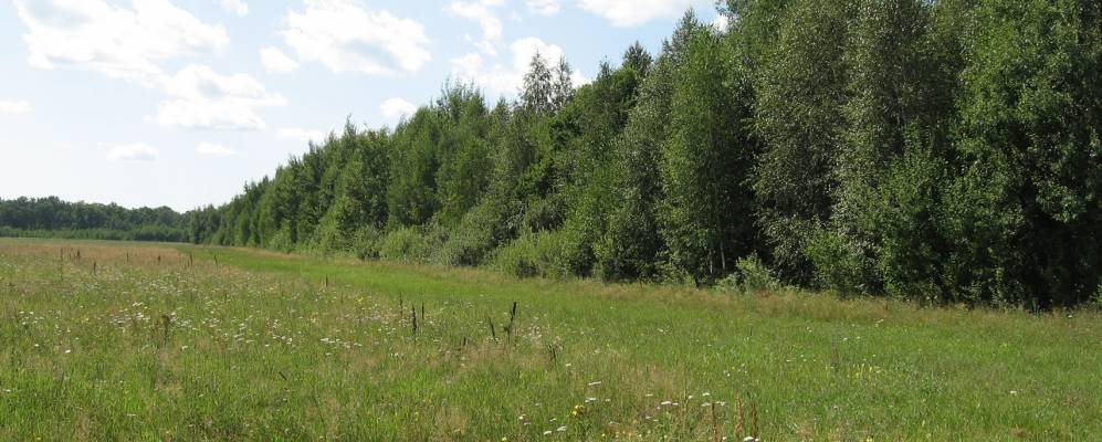 
            Фотография Судибора