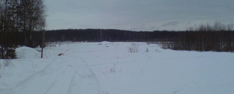 
            Фотография Криульки