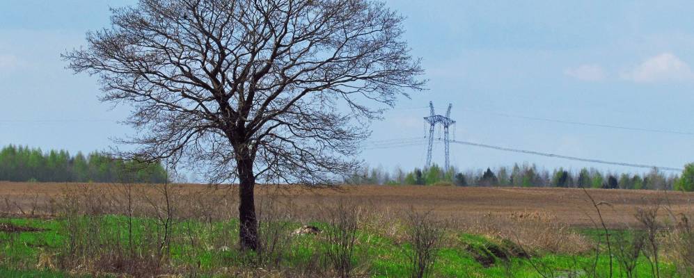 Фотография Погулянки