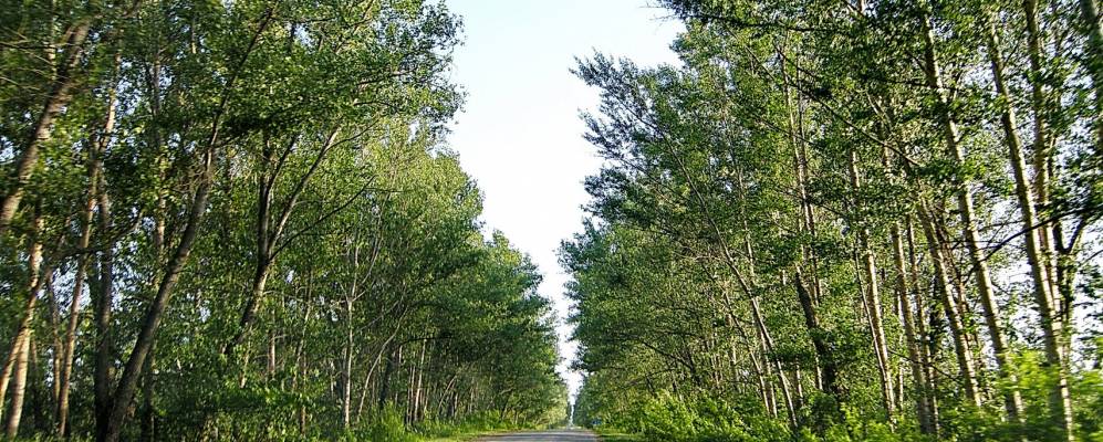 Фотография Дубровки