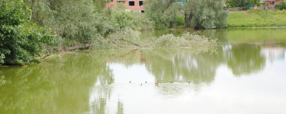 
            Фотография Нагаево