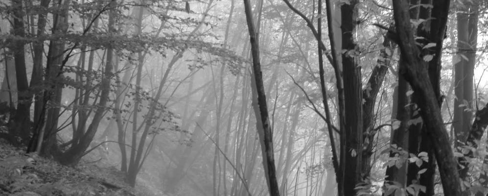 
            Фотография Куньяско