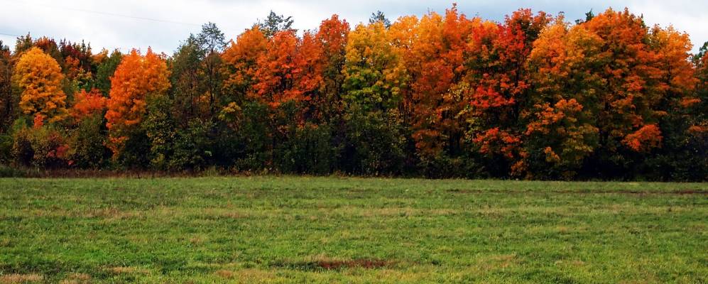 
            Фотография Утяганово