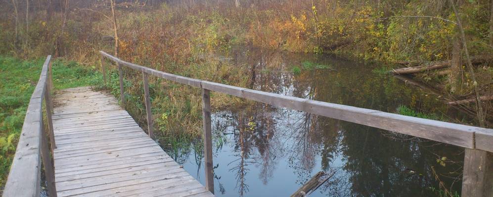 
            Фотография Мирного