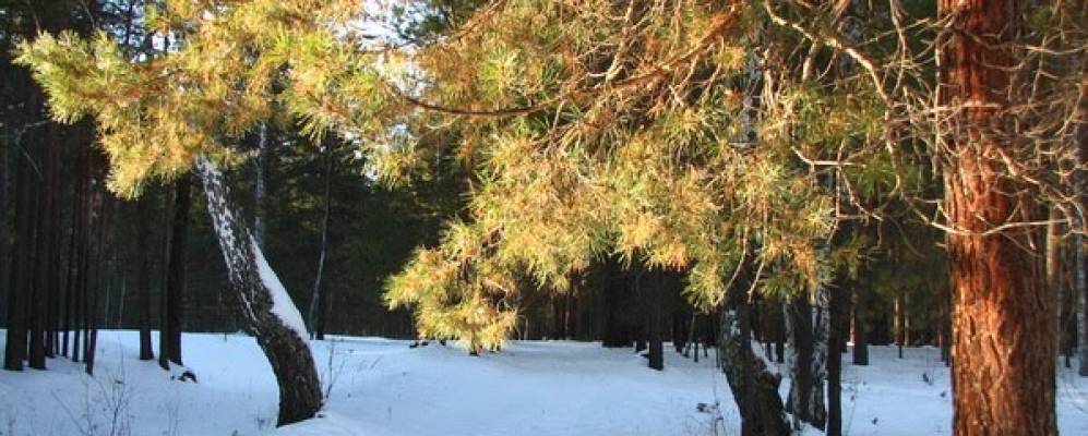 Фотография Турушево