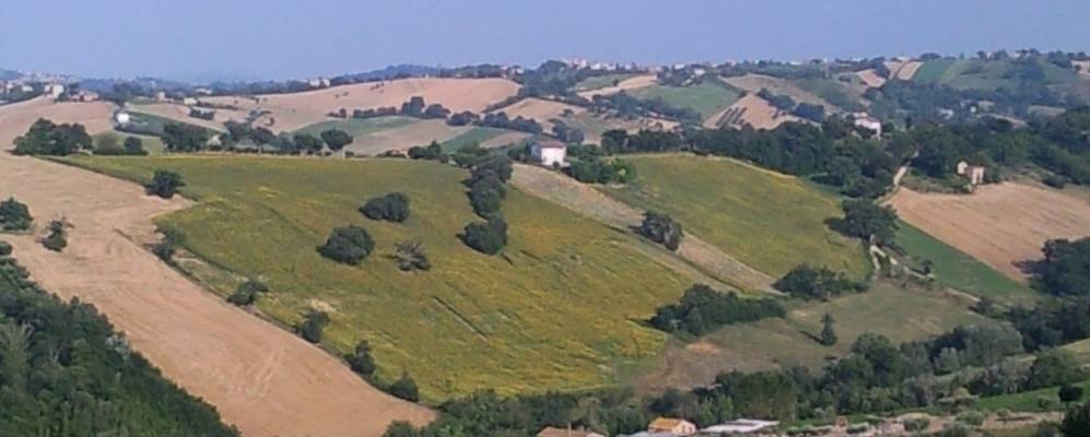 
            Фотография Кольмурано