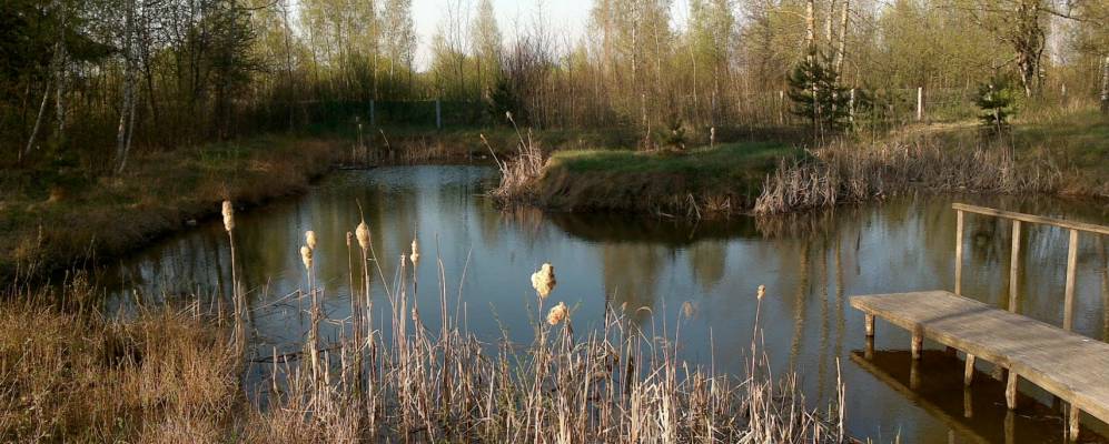 Фотография Осеки