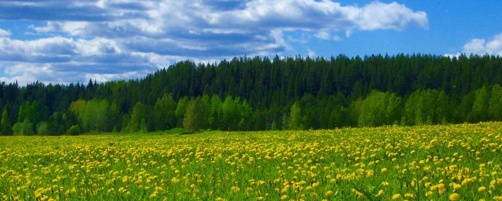 
            Фотография Засурья