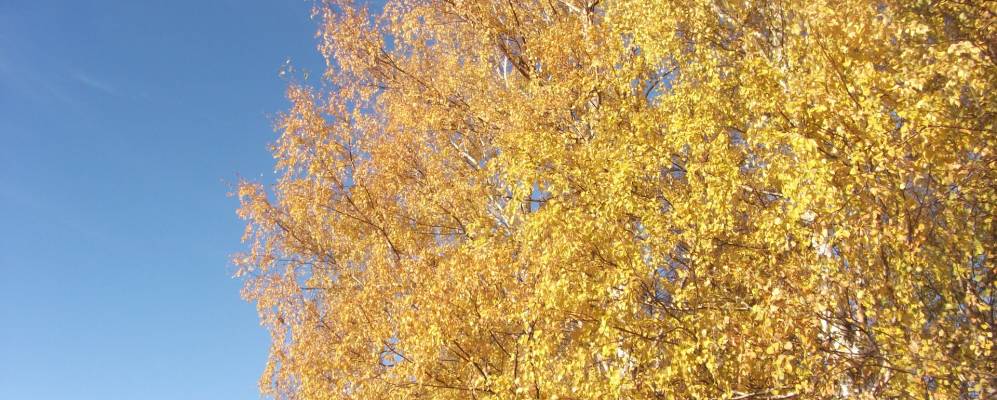 
            Фотография Прокошево