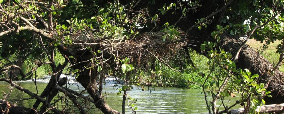 
            Фотография Крутцов