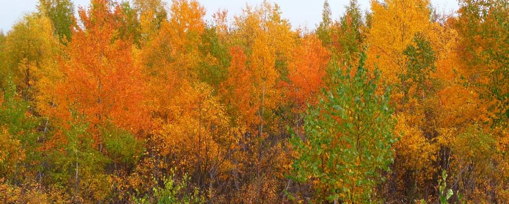 
            Фотография Зайково