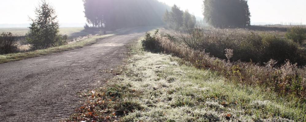 
            Фотография Новоситовки