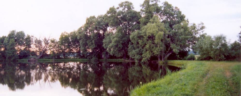 
            Фотография деревни Хорошки