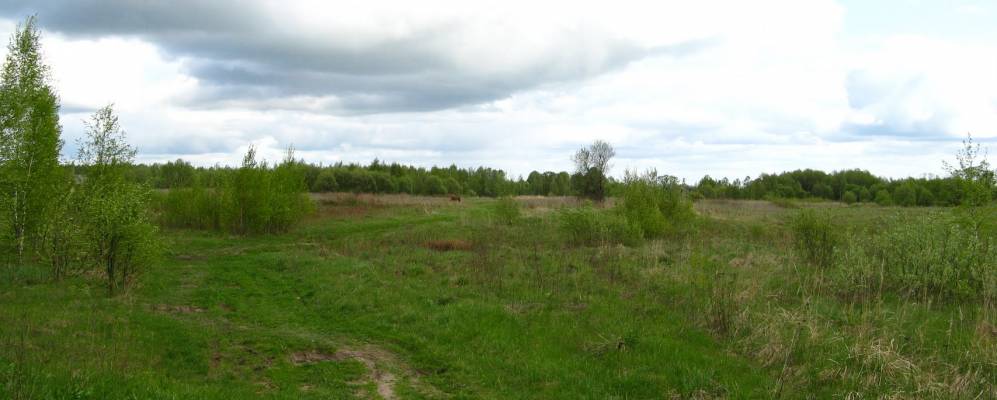 
            Фотография Будища