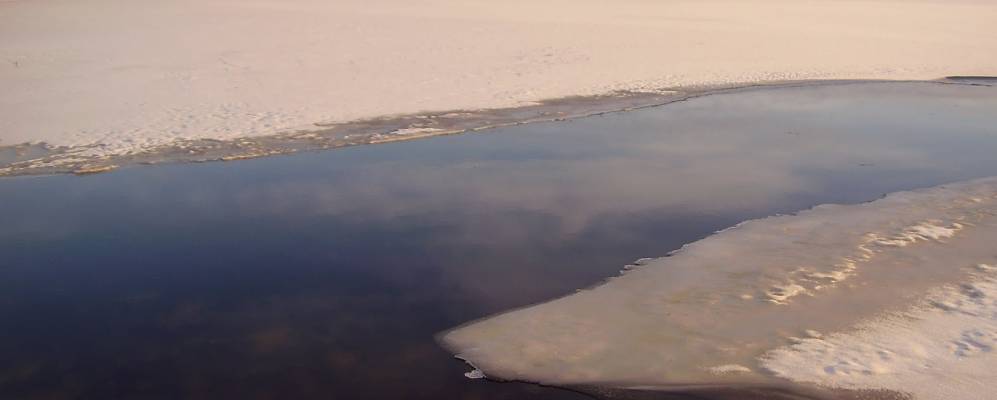 
            Фотография Китеэ