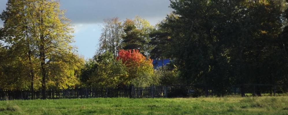 Фотография Нового Ядрино