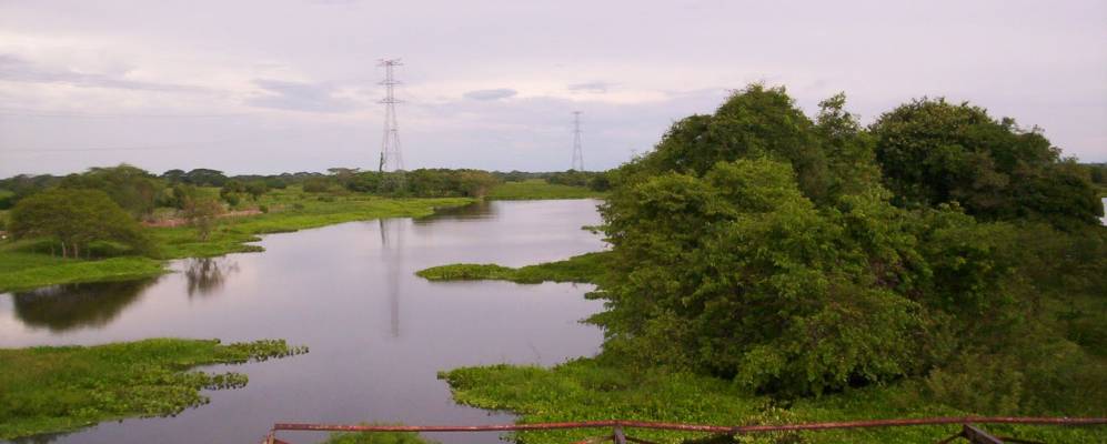 
            Фотография Пивихаи