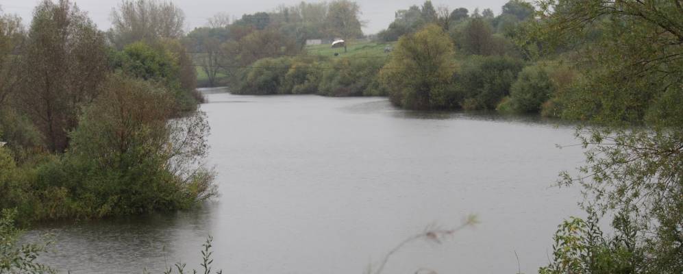 
            Фотография Краснополья (Хлыстовки)