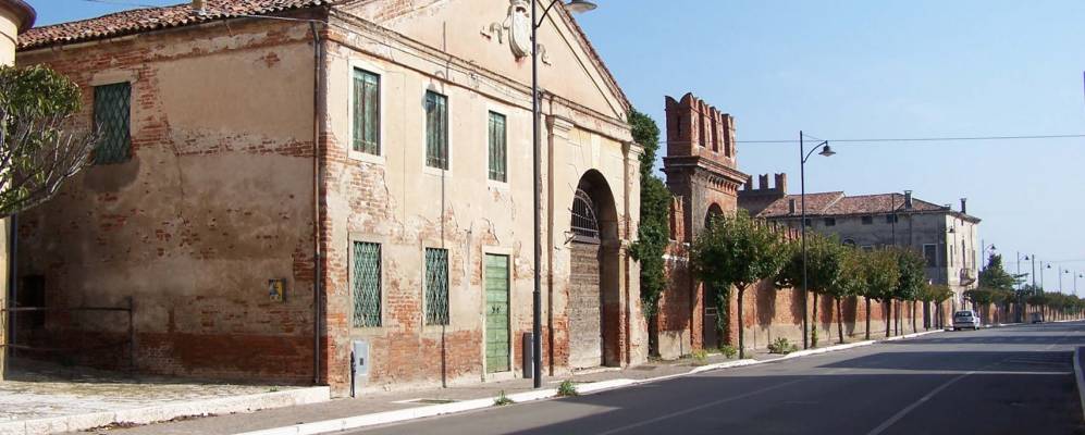 
            Фотография Веронелы