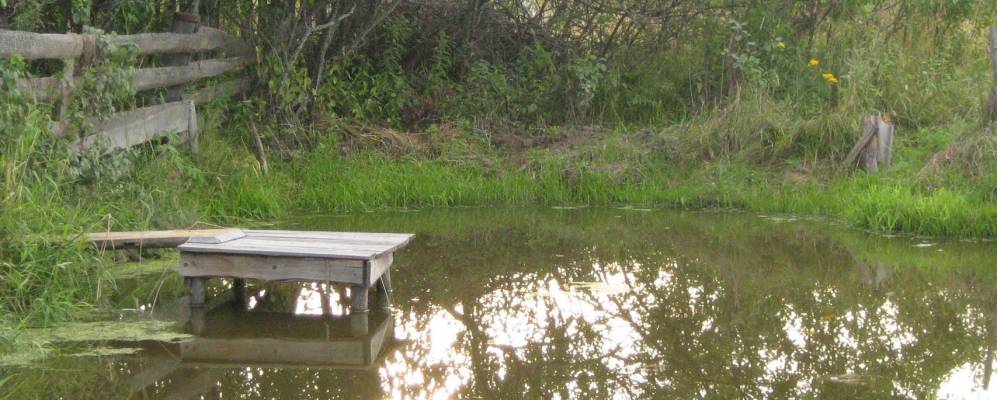 Фотография Монастырской Малой