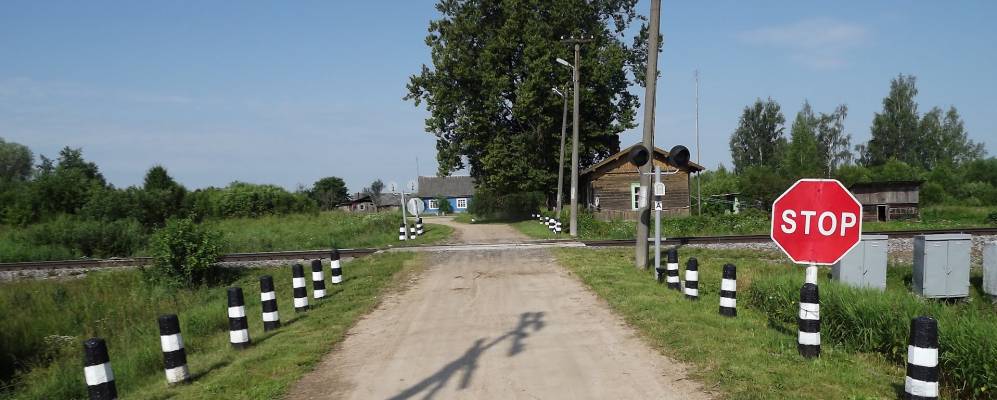 
            Фотография Свиново