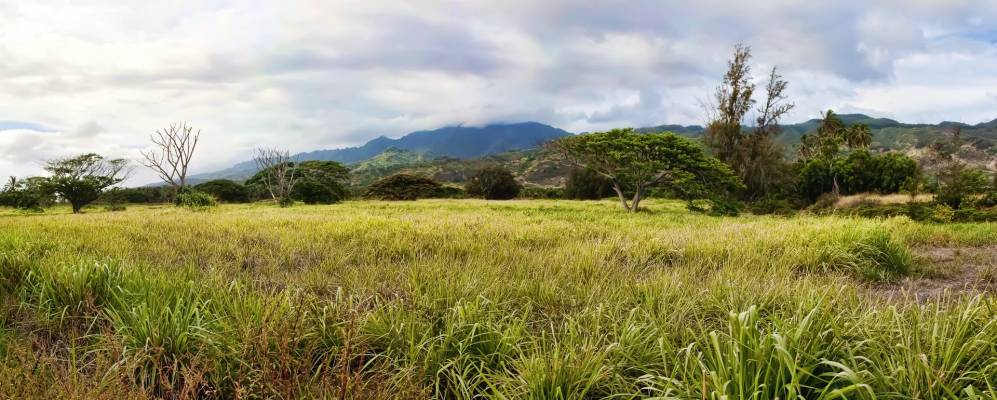 
            Фотография Мокалеии