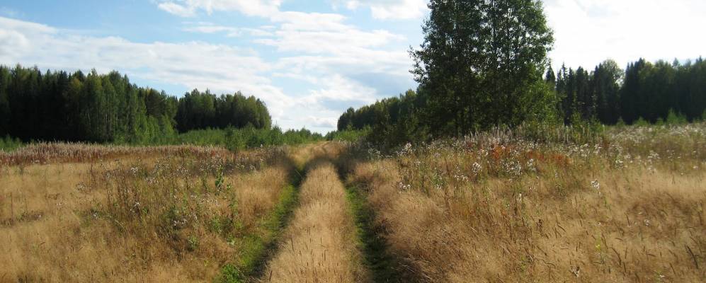 
            Фотография Верхокамья