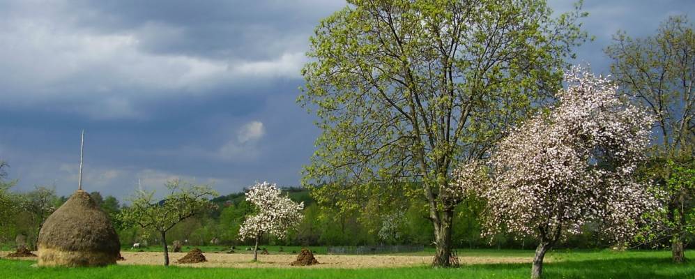 
            Фотография Будурасы