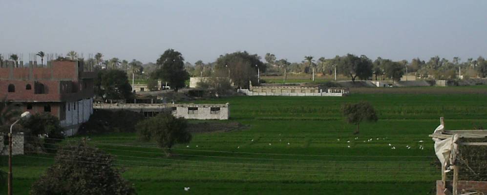 
            Фотография Самалата