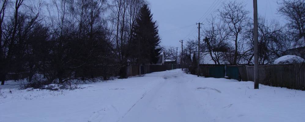 
            Фотография Песоцкого