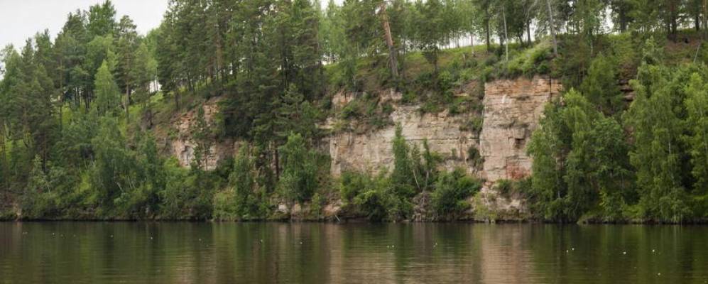 
            Фотография Солонцов