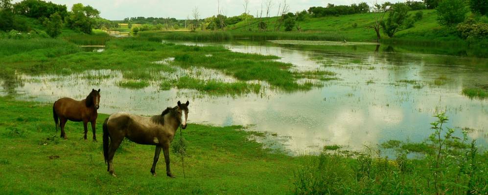 
            Фотография Паволочи