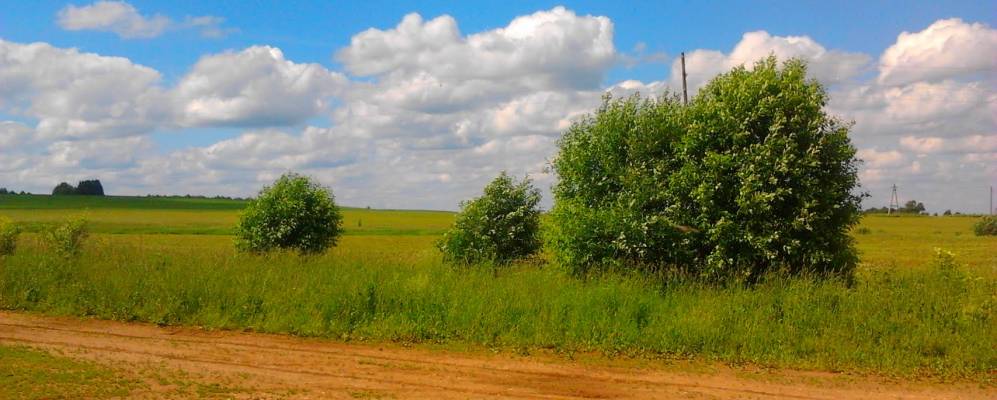 Фотография Одегово