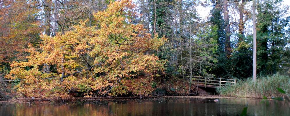 
            Фотография Ньюента