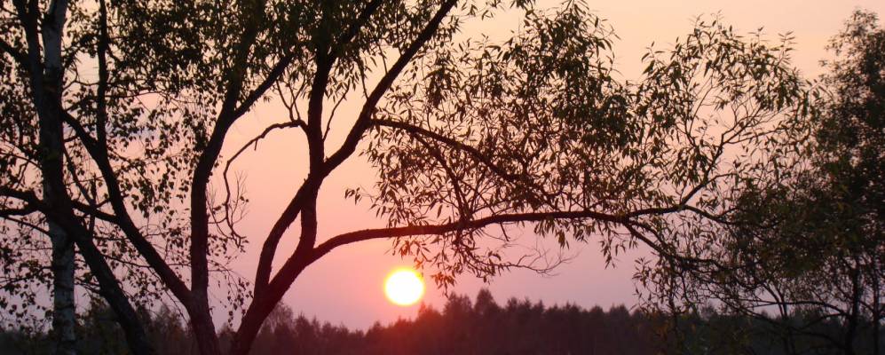 
            Фотография поселка Новосельцы