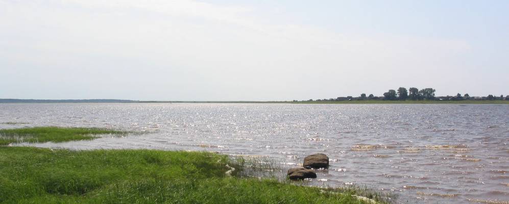 Фотография Гостцы