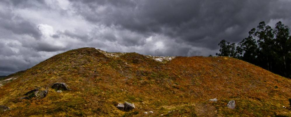 
            Фотография Кунтиса