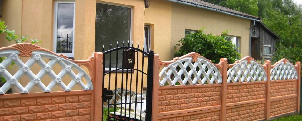 
            Фотография Яснопольского