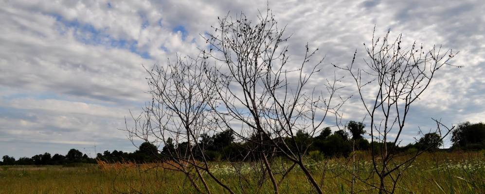 Фотография Бессокирного