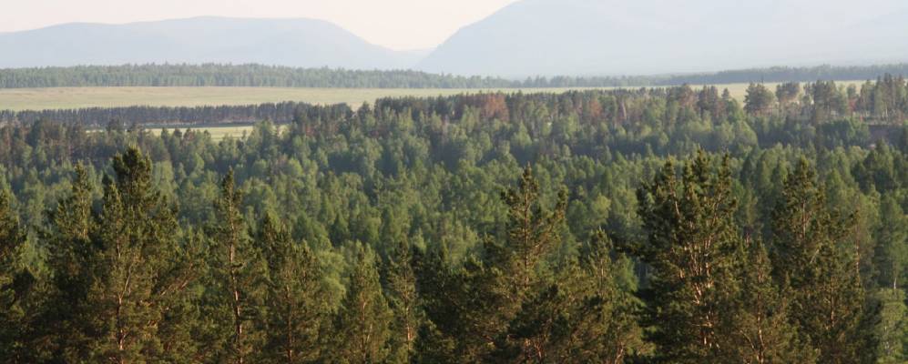 
            Фотография Курятов