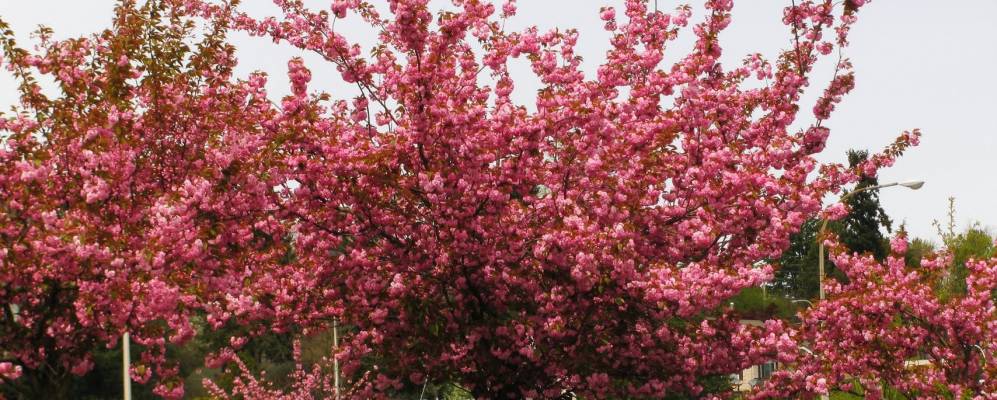 
            Фотография Рентон